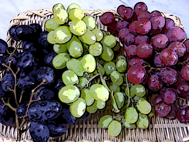 チリ産葡萄